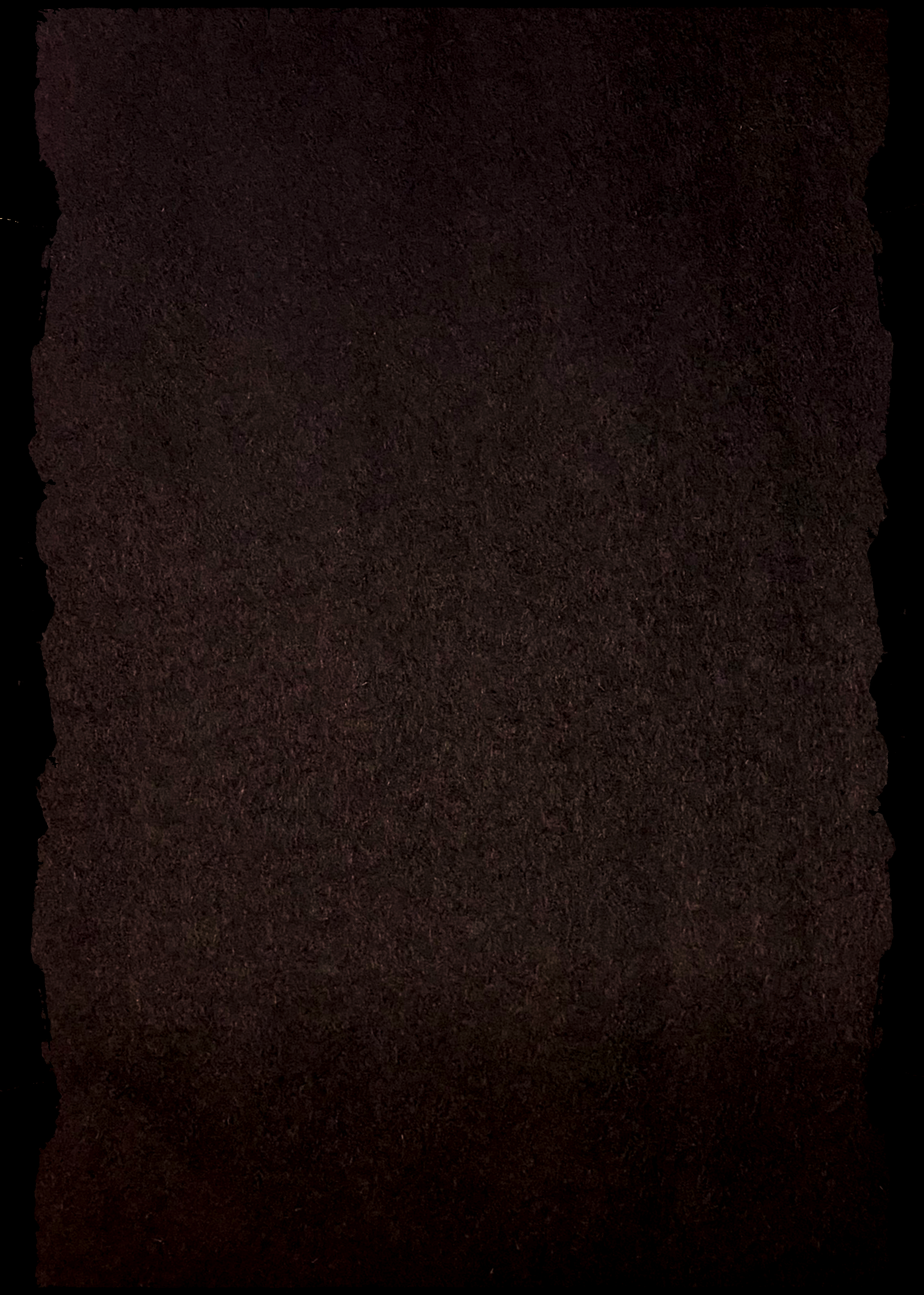 DDT Zombie Head Background